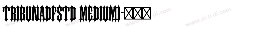 TribunADFStd MediumI字体转换